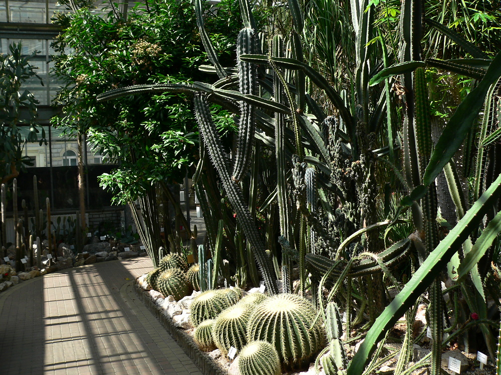 praha_51_botanka_2016