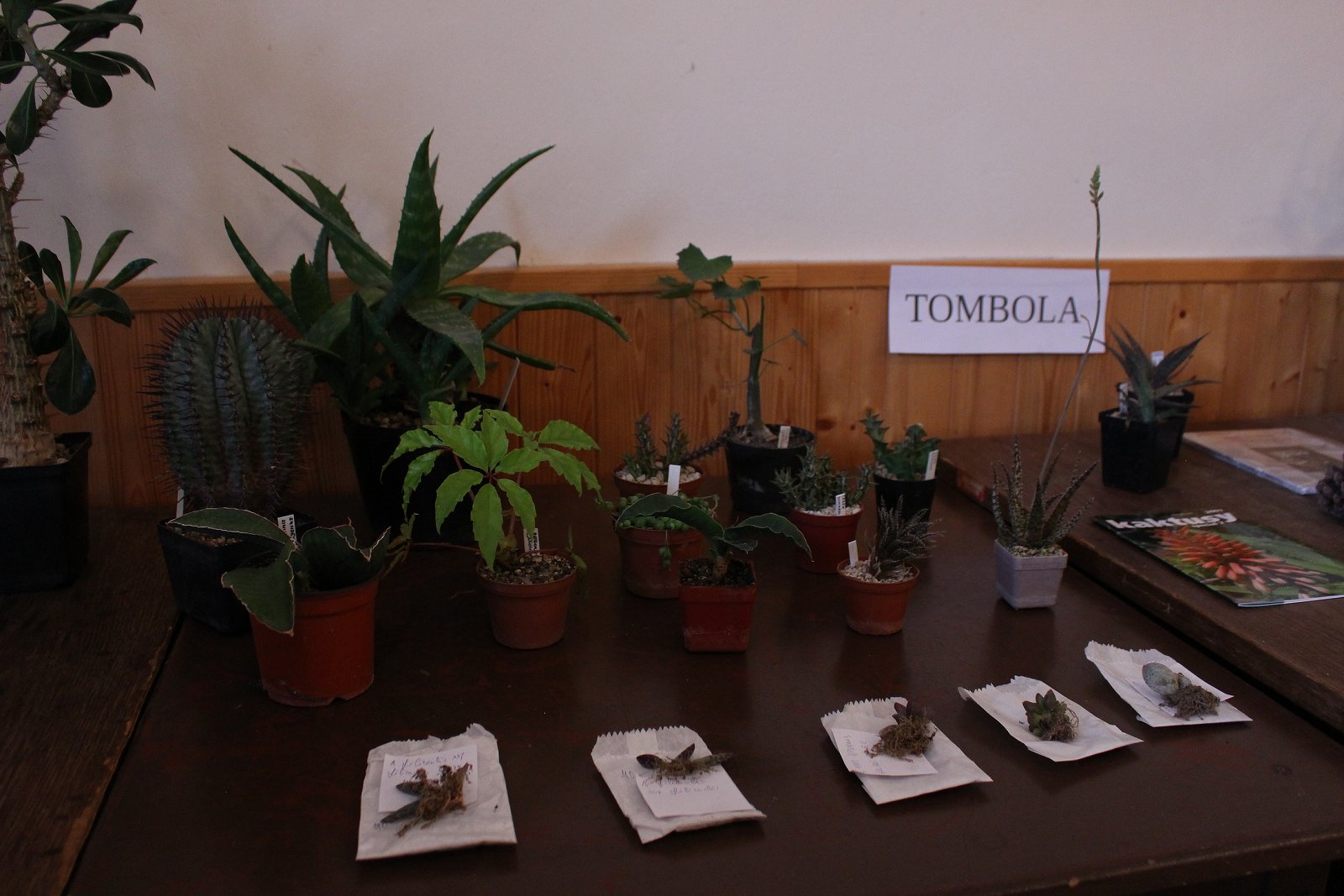 12 Tombola - Foto Katka Nguyen