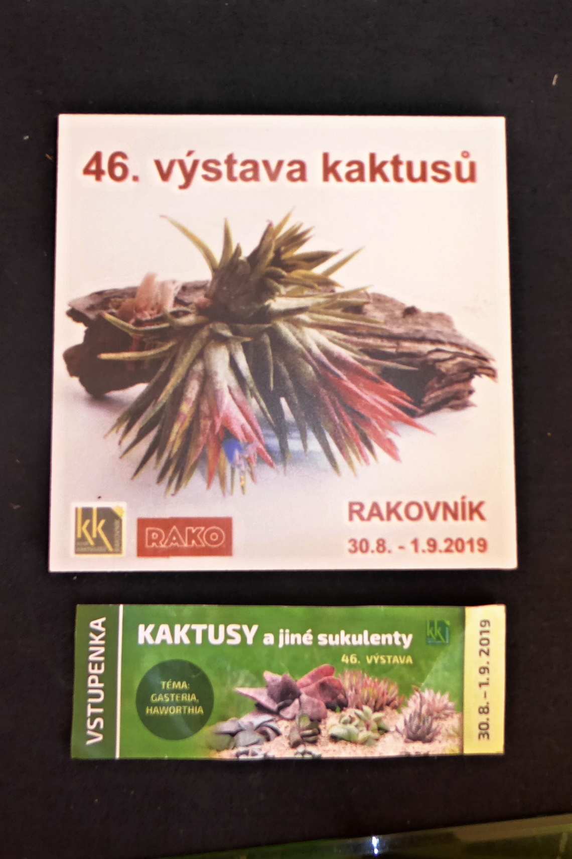 Výstava v  Rakovníku 2019 01 (1)