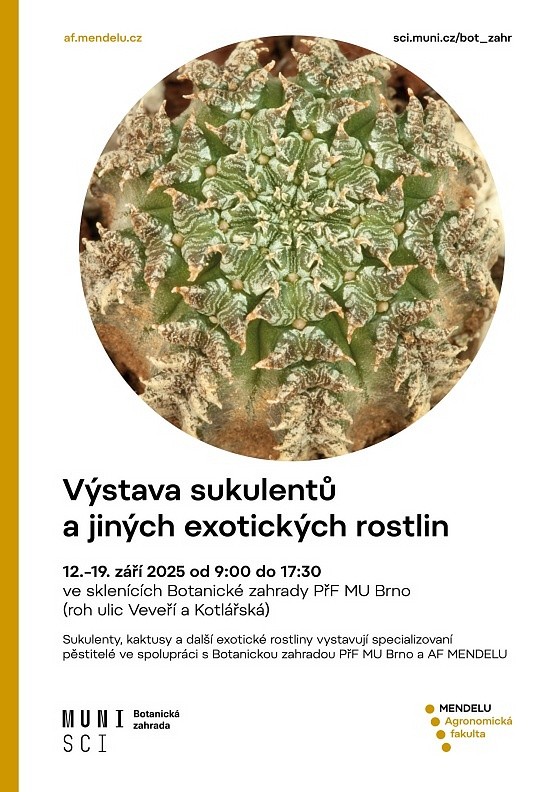 vystava_sukulentu_2025_560.jpg