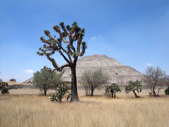 Aztécký pyramidálni komplex Teotihuacan nedaleko hlavního města aztecky-pyramidalni-komplex-teotihuacan-nedaleko-hlavniho-mesta.jpg