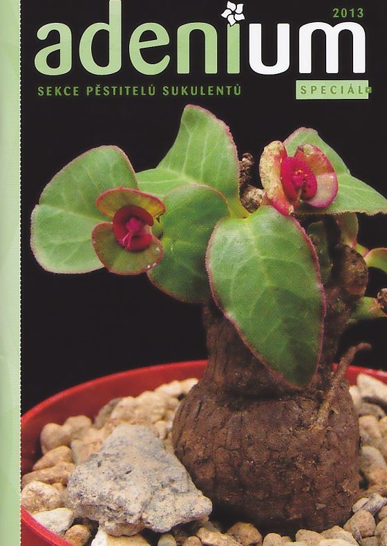 adenium2013_spec.jpg