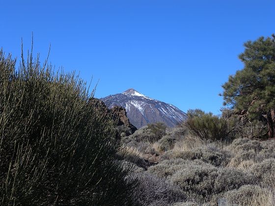 Takhle jsme viděli Pico del Teide z botanické zahrady na náhorní
